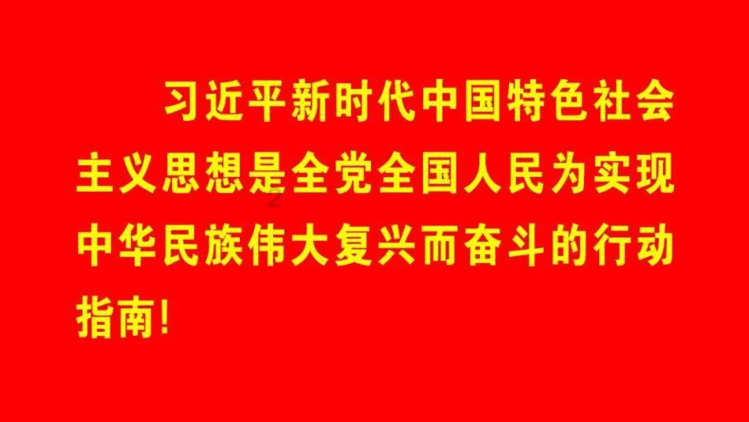 寻找海盗帽的男孩
